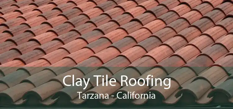 Clay Tile Roofing Tarzana - California