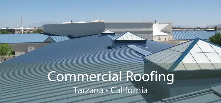 Commercial Roofing Tarzana - California