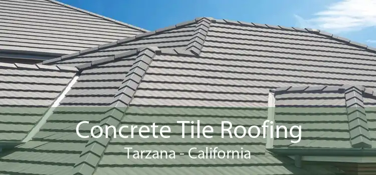 Concrete Tile Roofing Tarzana - California