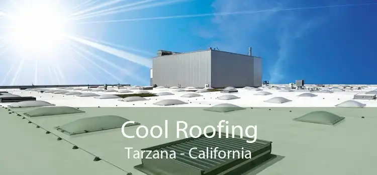 Cool Roofing Tarzana - California