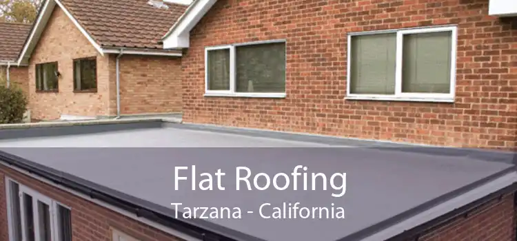 Flat Roofing Tarzana - California