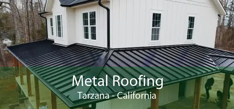 Metal Roofing Tarzana - California