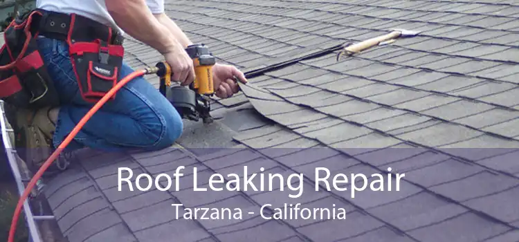 Roof Leaking Repair Tarzana - California