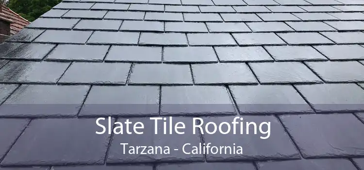 Slate Tile Roofing Tarzana - California