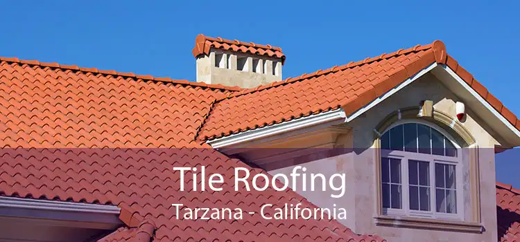 Tile Roofing Tarzana - California