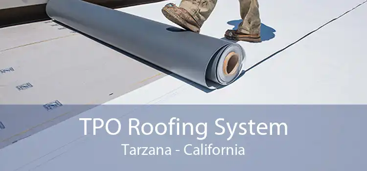 TPO Roofing System Tarzana - California